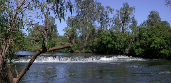 Mataranka Falls (panorama)